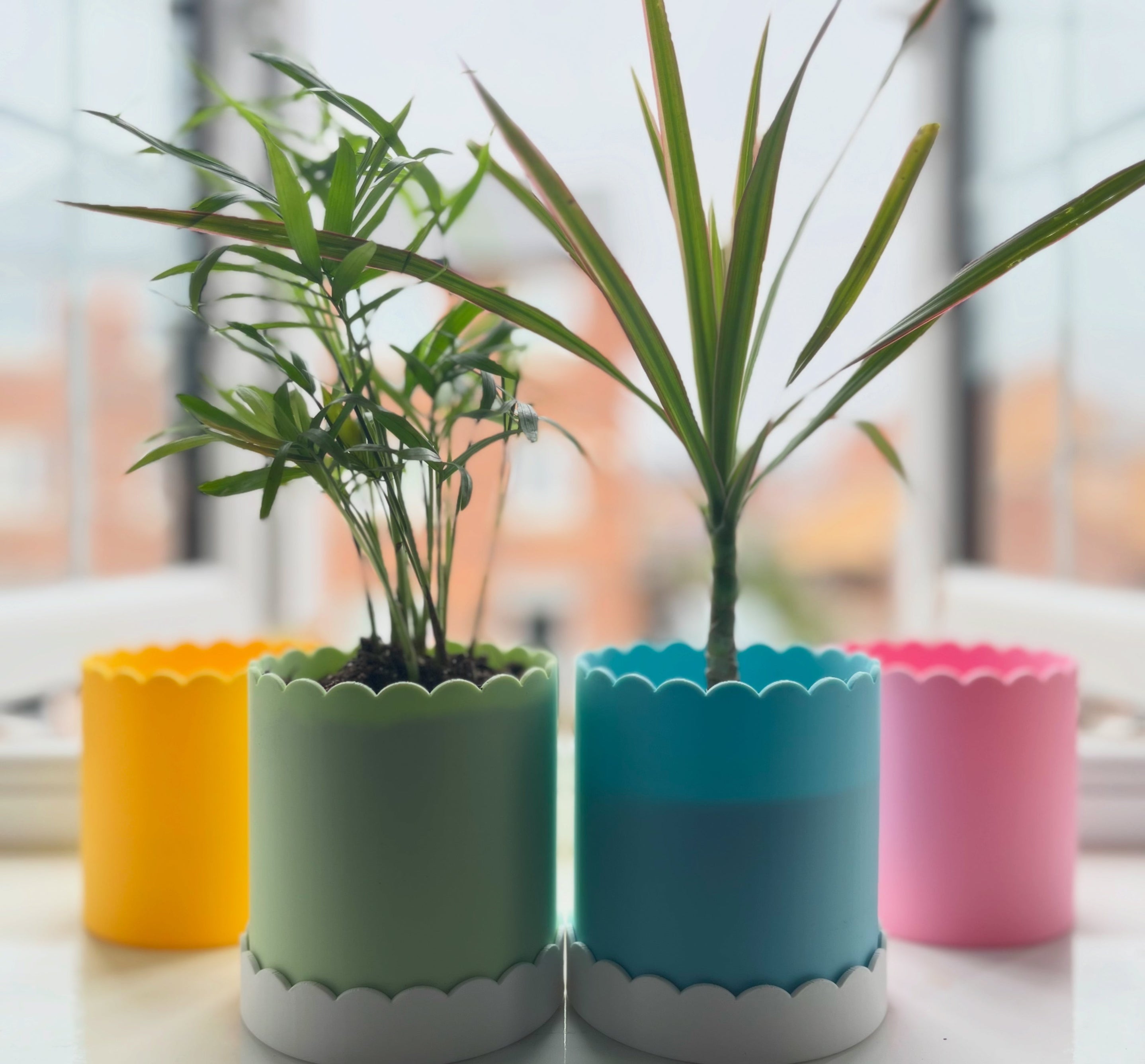 Scallop Edge Plant Pot for Family Homes