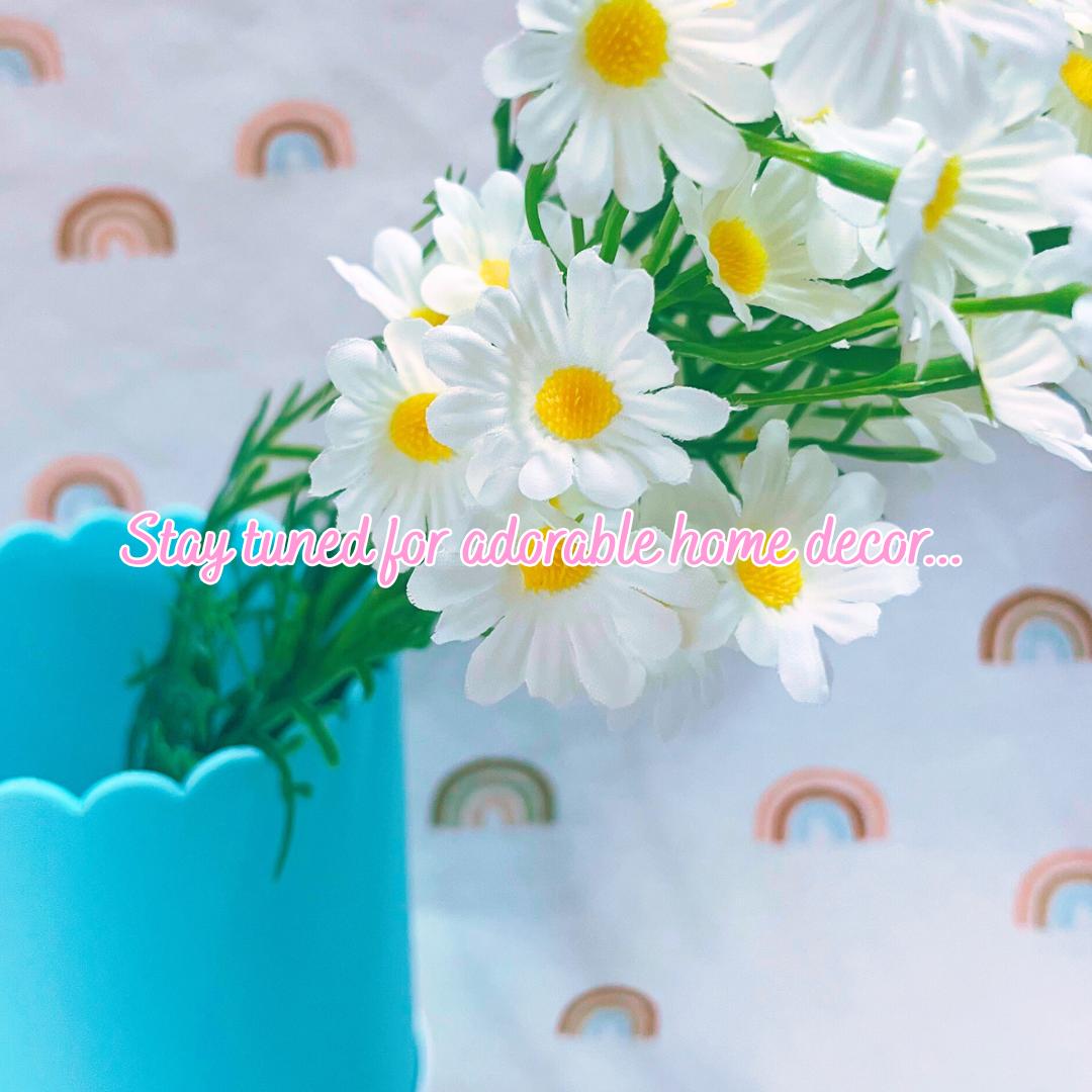 Why I Started Little Z & Me