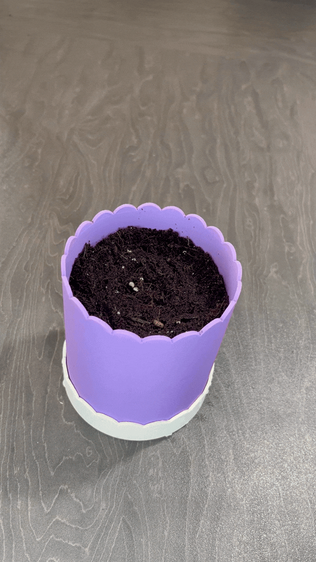 Custom Colour Scallop Plant Pot with Built-In Drainage