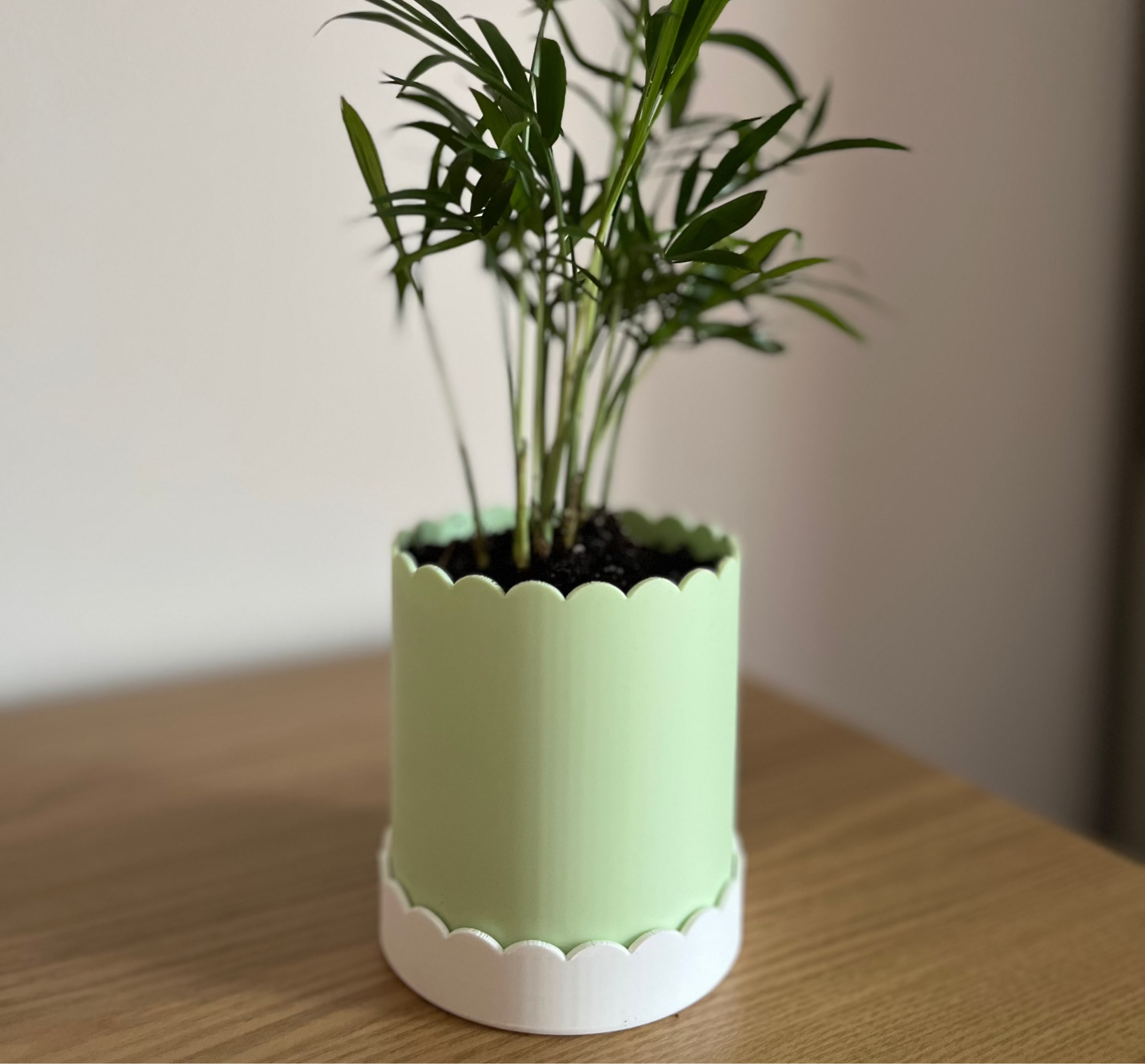 Custom Colour Scallop Plant Pot with Built-In Drainage