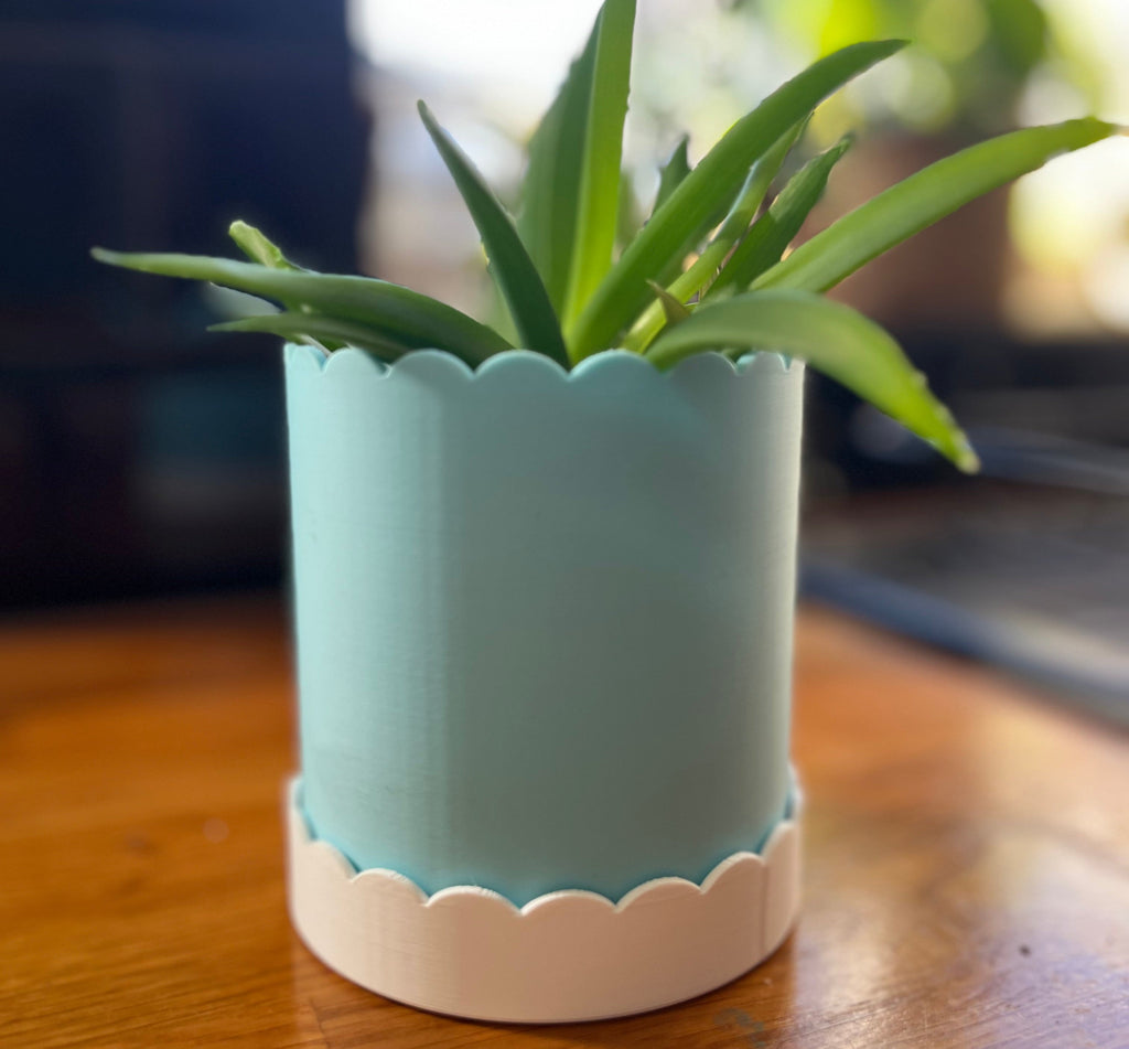 Plant pot with plant on a wooden surface